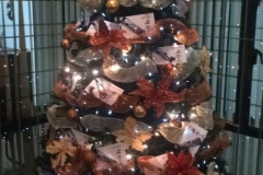 15578659_1522246911124409_7625866599021364827_n