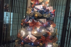 15622165_1522495924432841_3562381168273998740_n