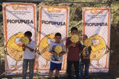 15056405_1473775965971504_3737536357130313720_n