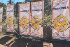 15107385_1473780435971057_8295670051285541232_n